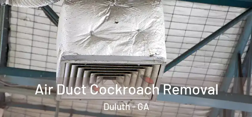 Air Duct Cockroach Removal Duluth - GA
