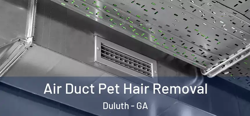 Air Duct Pet Hair Removal Duluth - GA