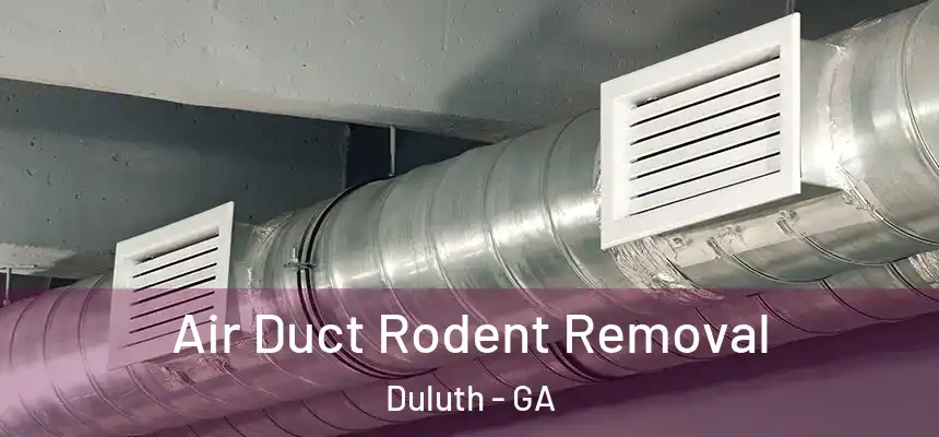  Air Duct Rodent Removal Duluth - GA