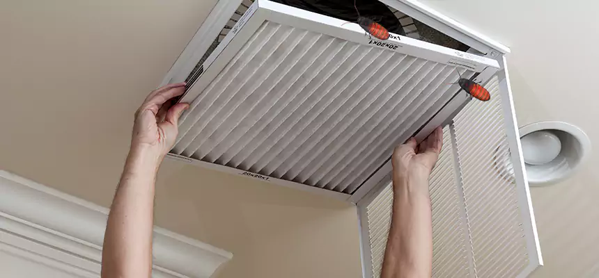 Our Insect Removal from Air Ducts Services in Duluth, GA