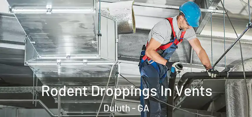  Rodent Droppings In Vents Duluth - GA