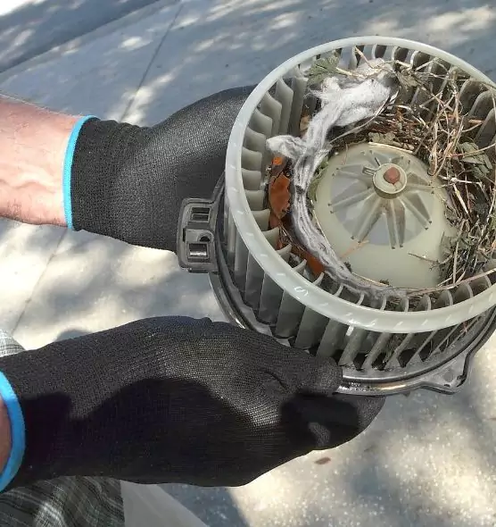 About Air Duct Mice Removal in Duluth, GA