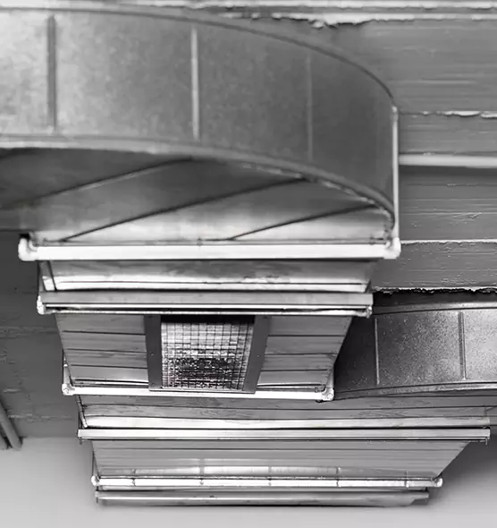 Professional Air Duct Pet Hair Removal in Duluth, GA