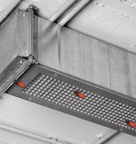 Affordable Insect Removal from Air Ducts in Duluth, GA