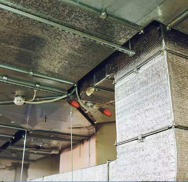 Why Homeowners & Businesses Trust Us in Duluth, GA?