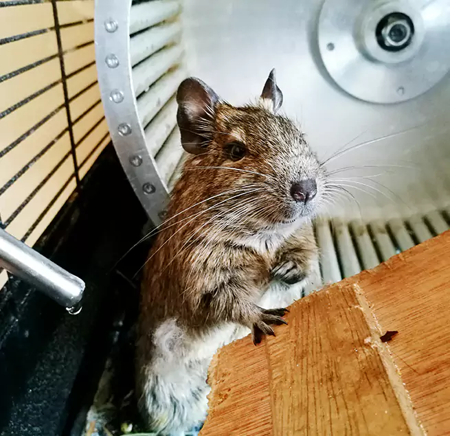 Why Homeowners & Businesses Trust Us Duluth, GA