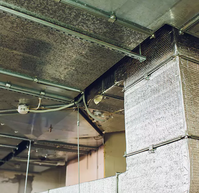 Why Homeowners & Businesses Trust Us in Duluth, GA?